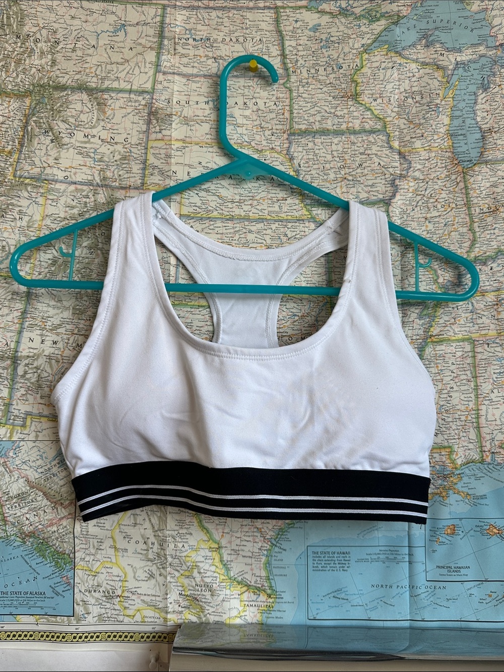 Infinity Raine White Sports Bra with Black Stripe Band